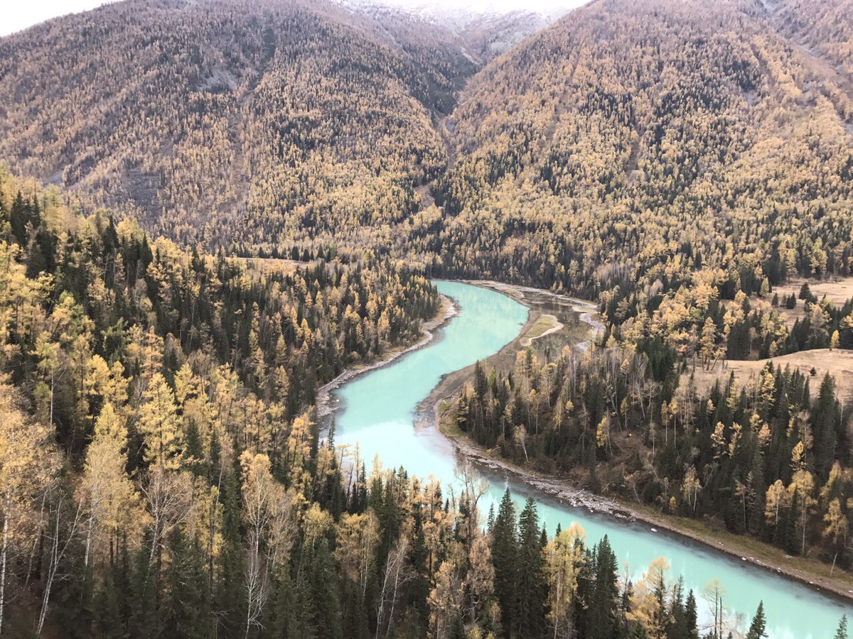 风景